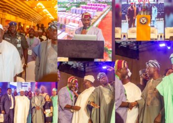Nigeria’s Development: FG, Ogun Advocate Stronger Government-CSO Alliance at Southern Summit