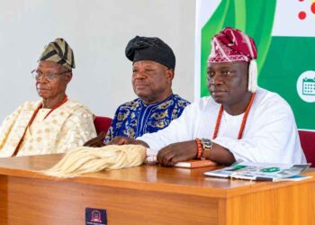 Ogun: Imeko Monarch, Asiwaju, Ogunsiji, Others seek FG intervention in border community